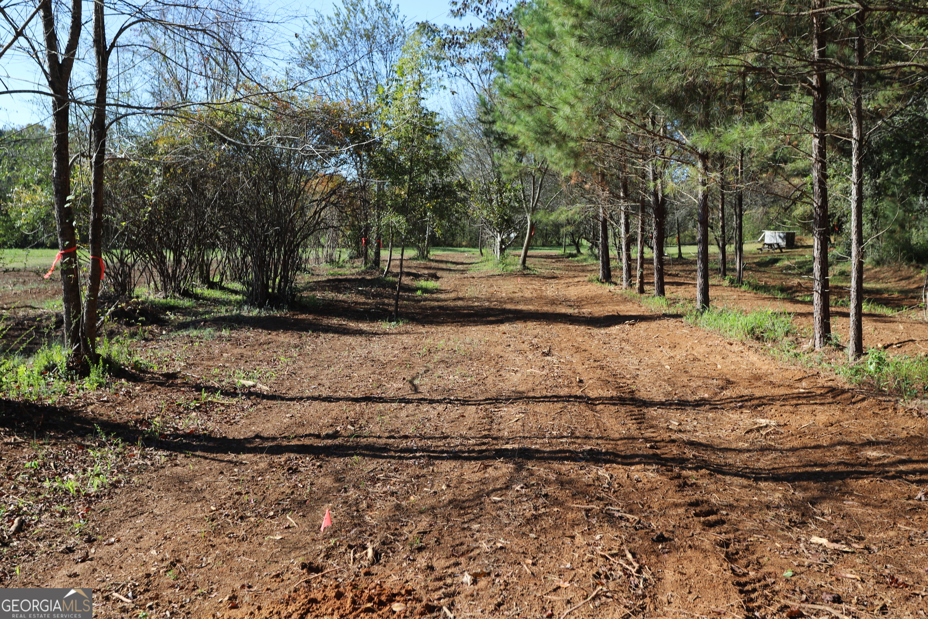 46 Buck Gardner Road Menlo, GA 30731 - Photo 9 of 40