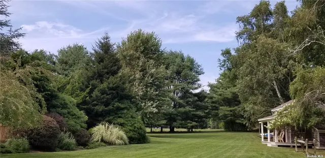 a view of a park with trees in the background
