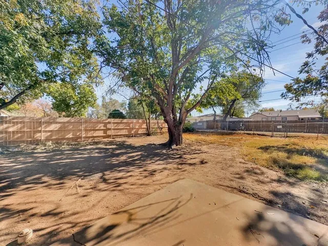 a view of a yard with large trees