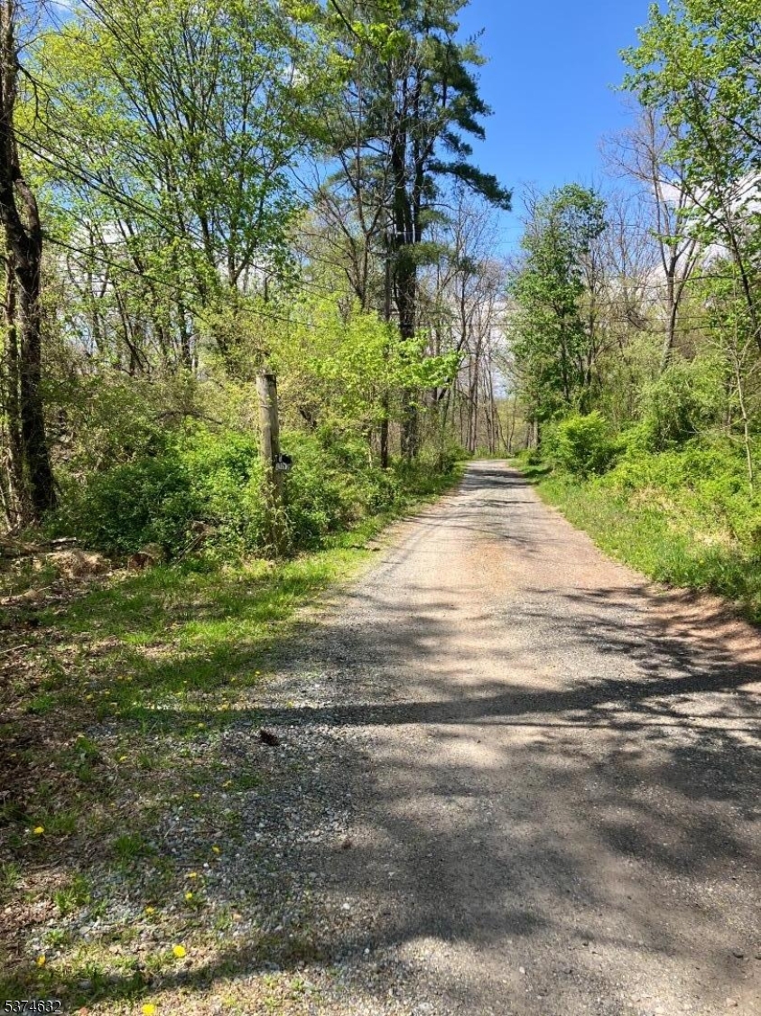 525 Stanton Station Road Flemington, NJ 08822 - Photo 13 of 16 a view of a yard with plants and trees