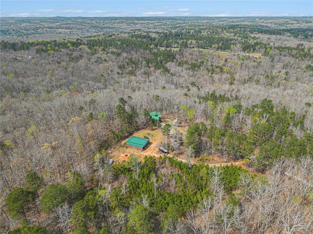 9150 West Banks Mill Road Winston, GA 30187 - Photo 40 of 41