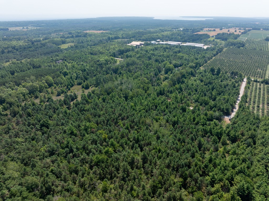 Lot 2 Scandia Road Sister Bay, WI 54234 - Photo 8 of 17