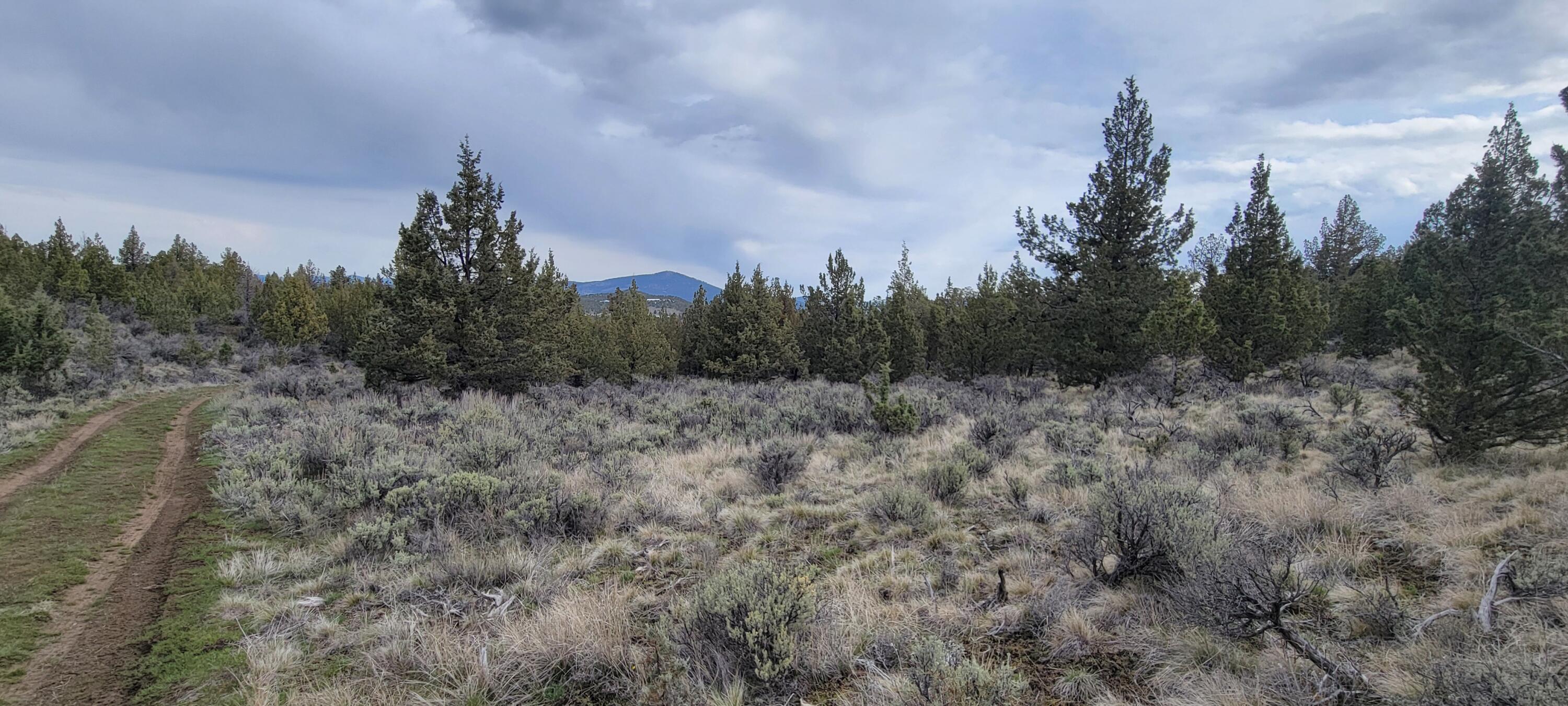 1500 Southeast Osprey Road, Unit 62 Prineville, OR 97754 - Photo 13 of 26 Range 01