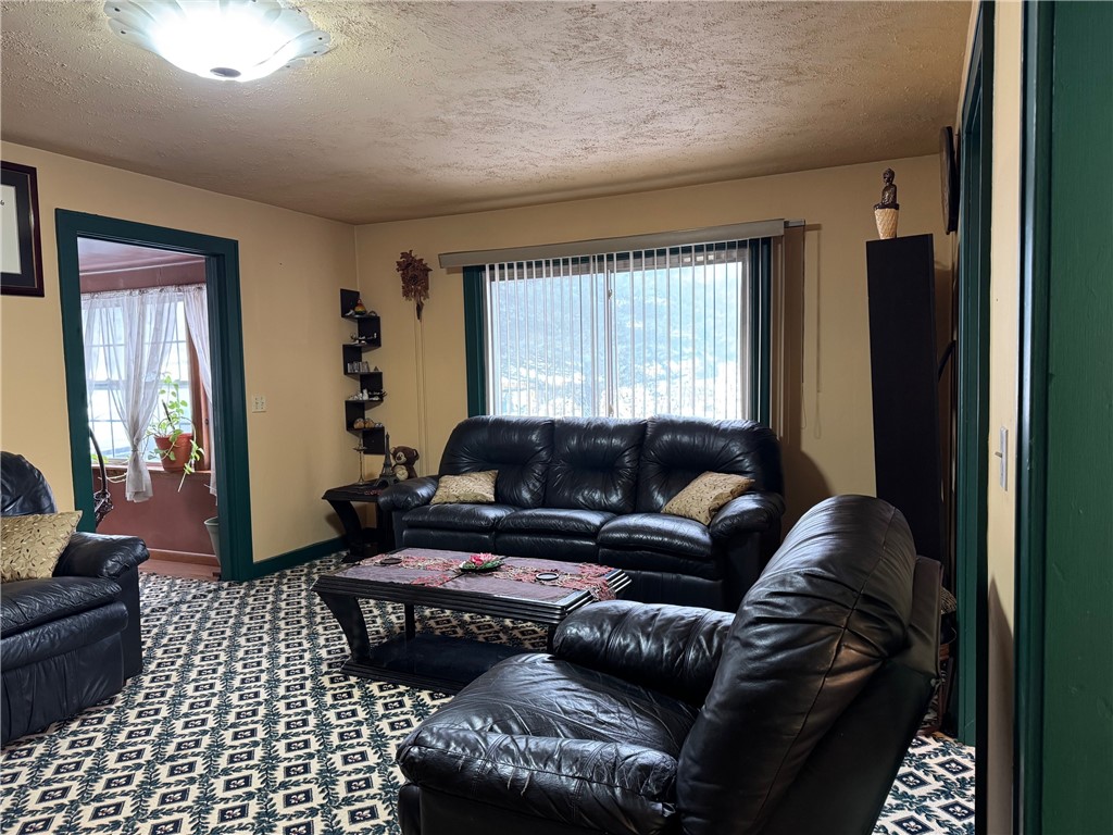 7 McHenry Valley Road Almond, NY 14804 - Photo 7 of 49 Living room