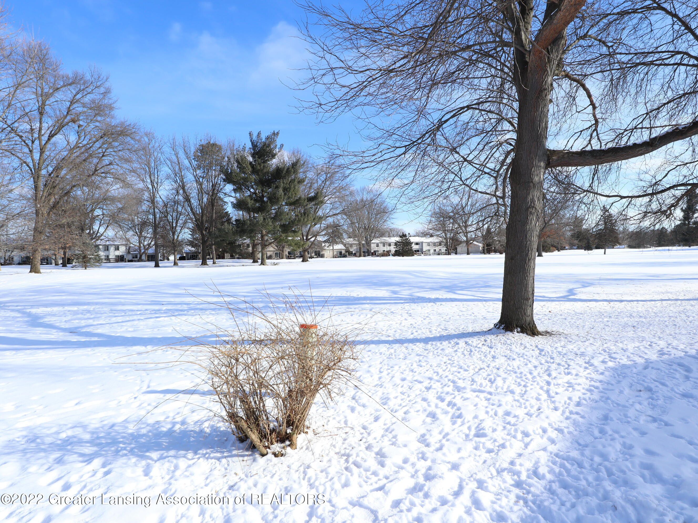 5896 Okemos Road Haslett, MI 48840 - Photo 47 of 47 IMG_0499