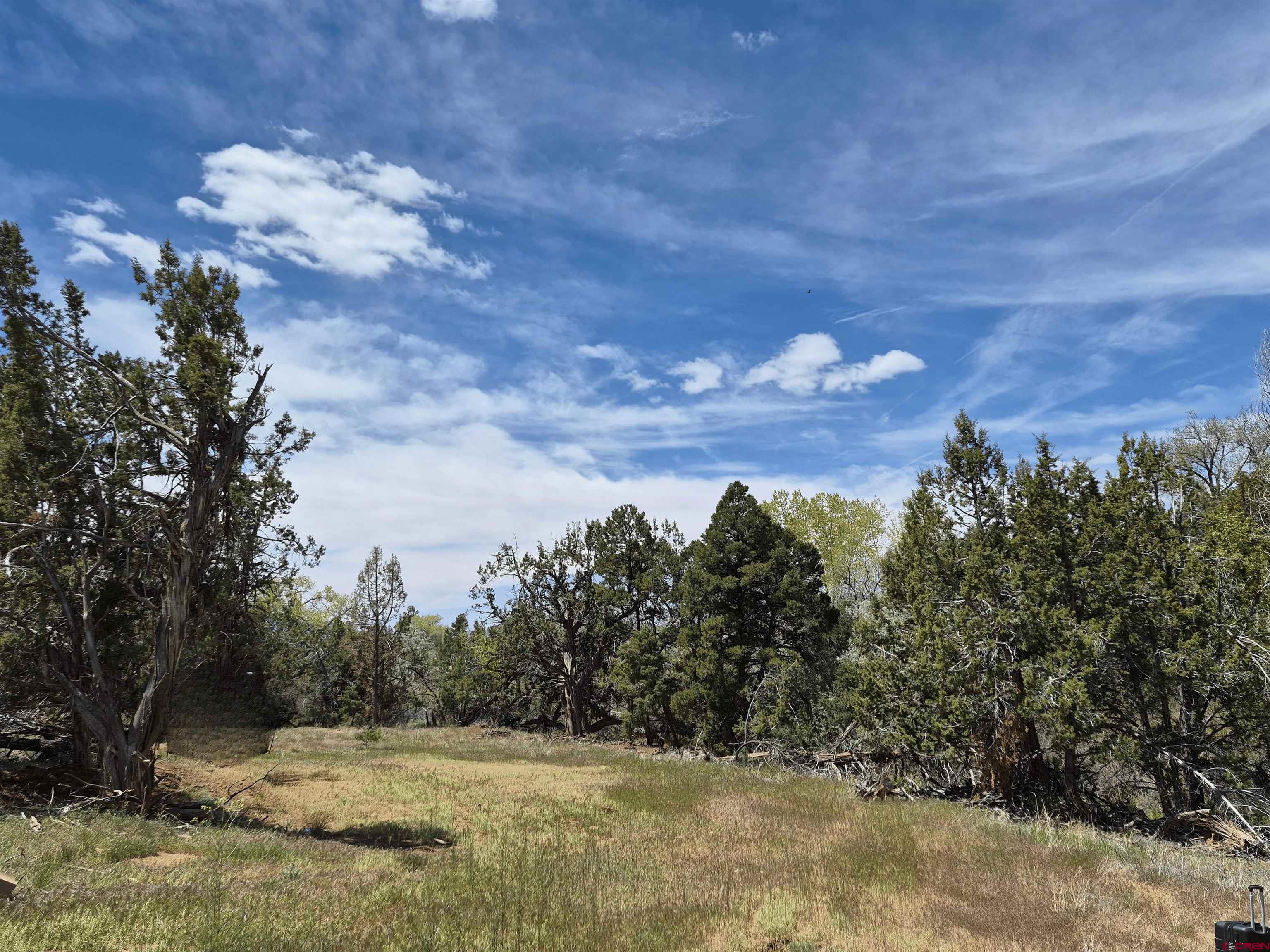 25471 Rd T Dolores, CO 81323 - Photo 6 of 6