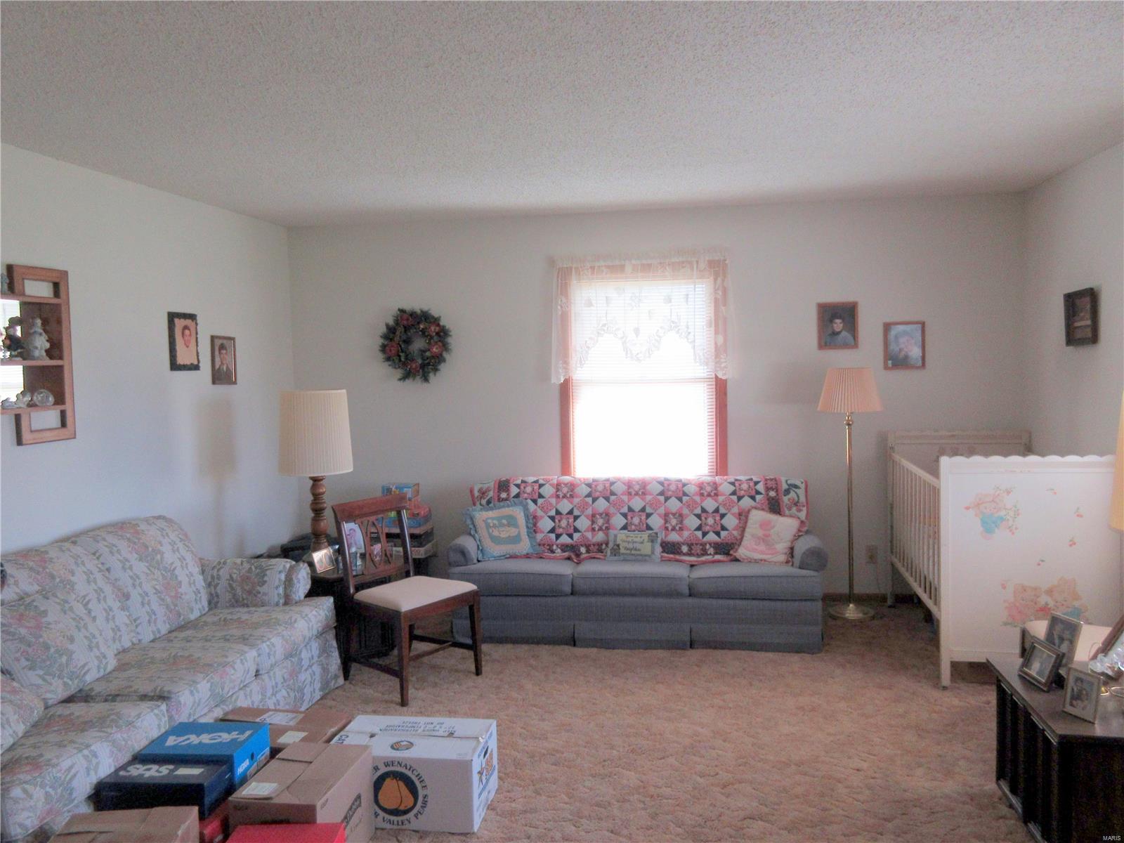 8532 Prairietown Road Dorsey, IL 62021 - Photo 2 of 19