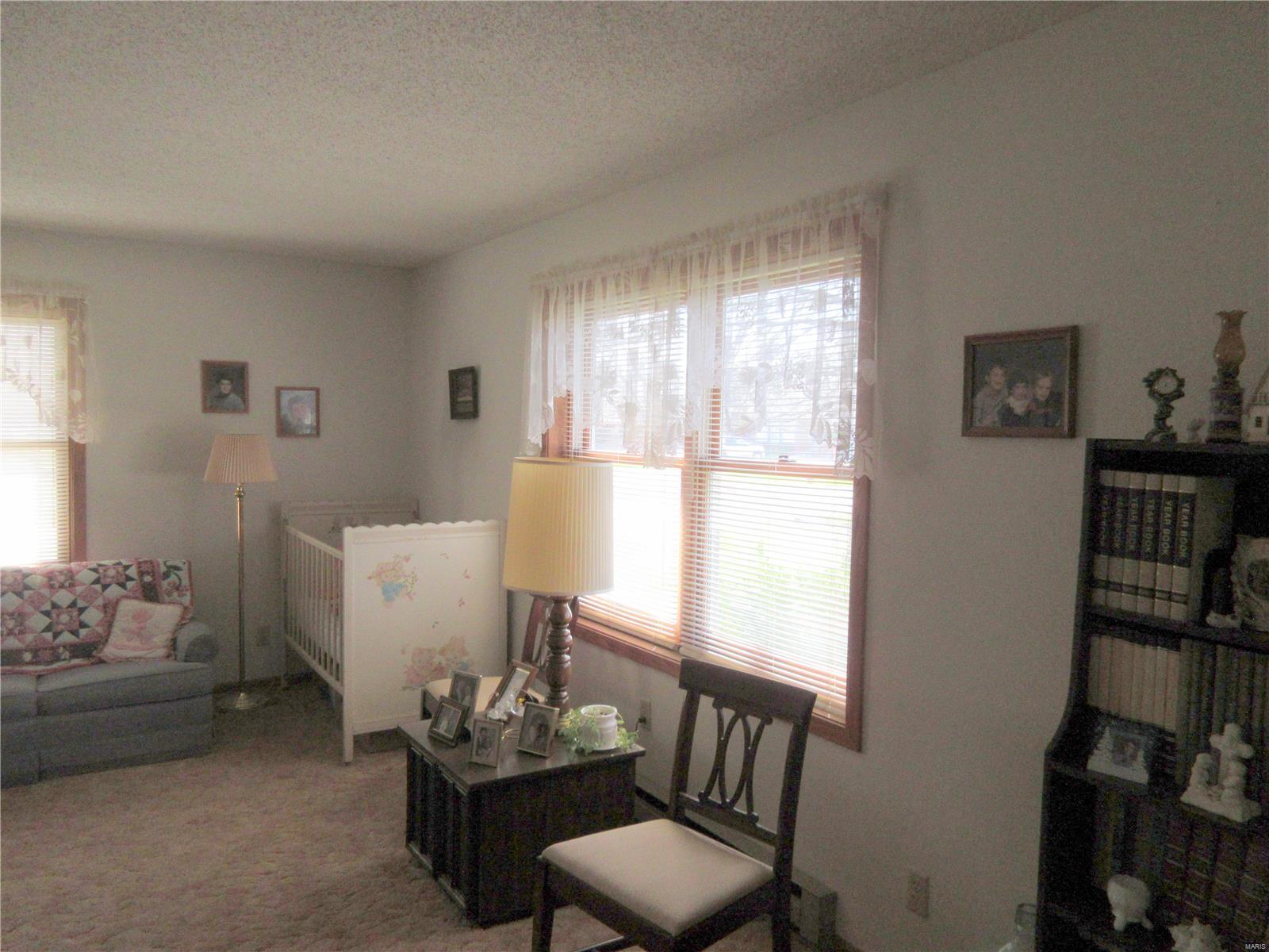 8532 Prairietown Road Dorsey, IL 62021 - Photo 3 of 19