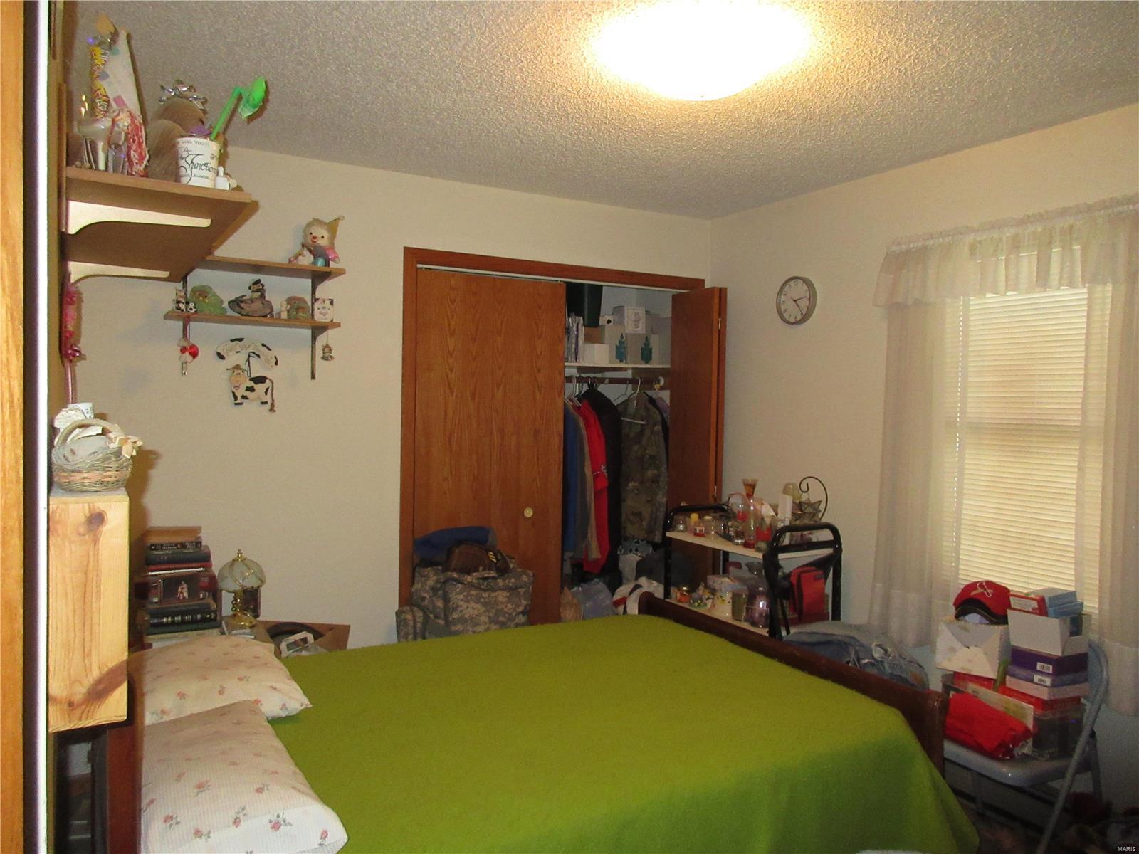 8532 Prairietown Road Dorsey, IL 62021 - Photo 8 of 19