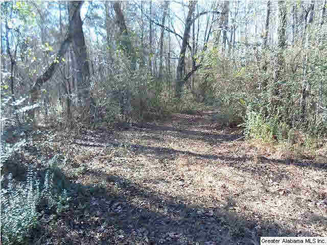 961 Airport Road, Unit 1 Eastaboga, AL 36260 - Photo 5 of 6