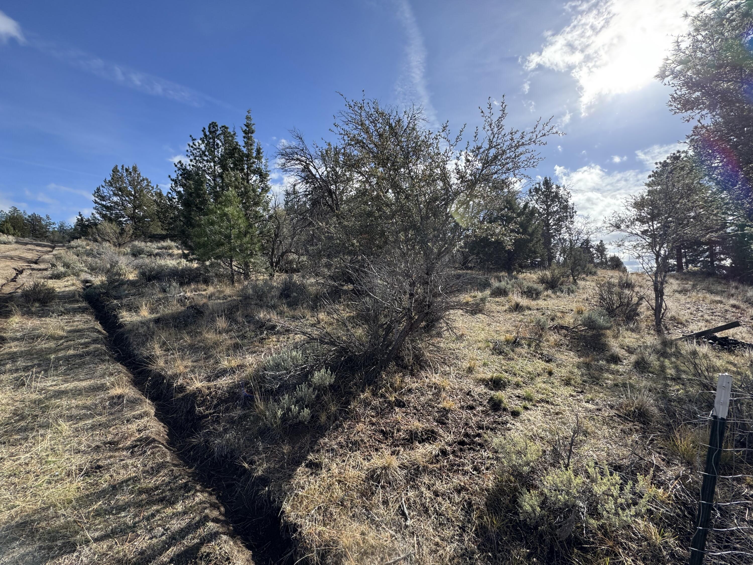 0 Quarry Circle, Unit 17 Beatty, OR 97621 - Photo 2 of 11 a view of a yard with plants and trees