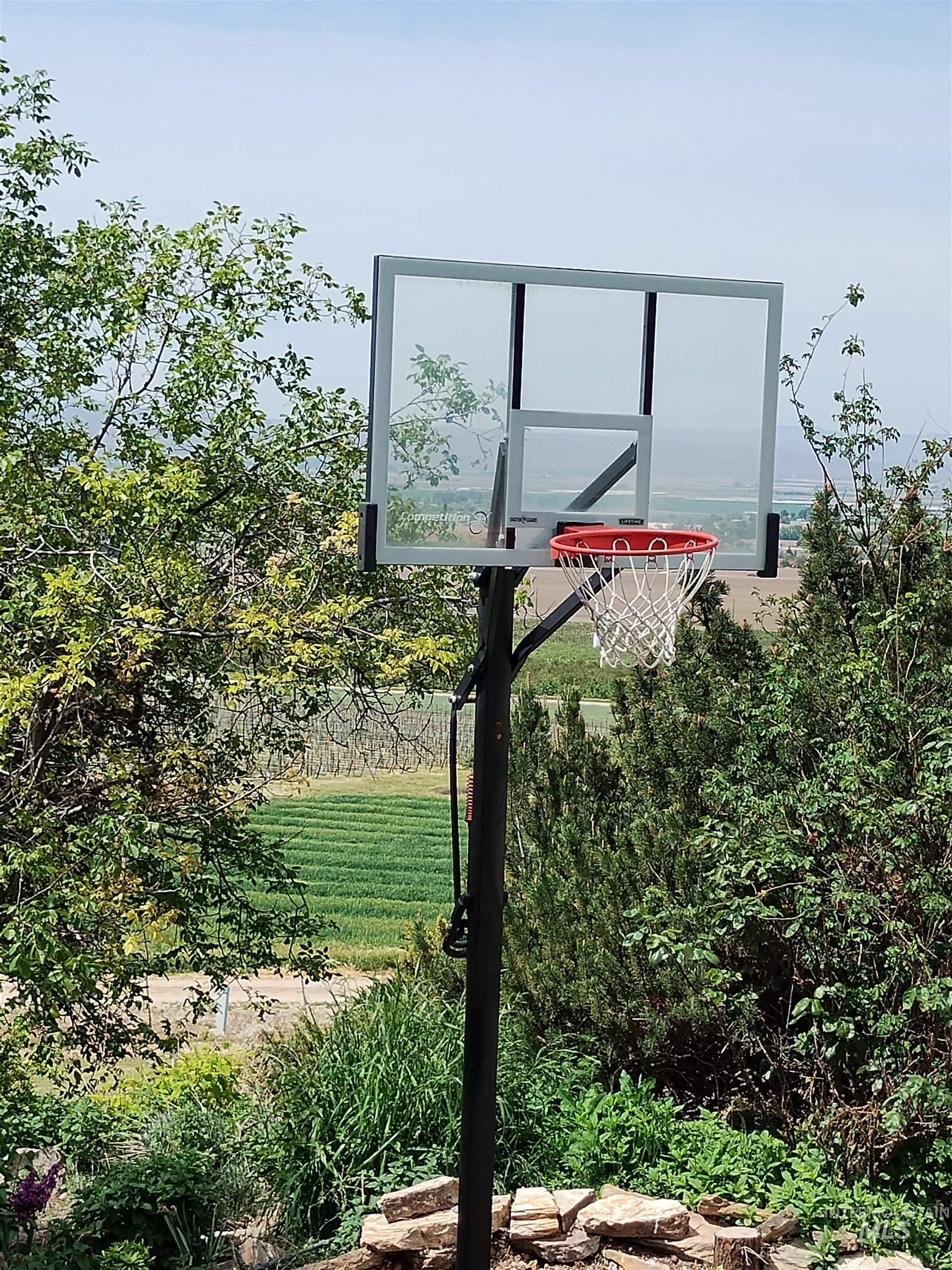 14526 Perfection Lane Caldwell, ID 83607 - Photo 41 of 47 Basketball hoop with a transparent backboard and red rim, surrounded by lush green foliage