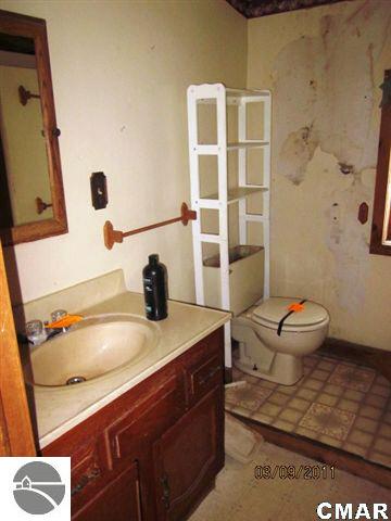 3399 Lake Montcalm Road Northeast Edmore, MI 48829 - Photo 8 of 11 1767245-7.JPG
