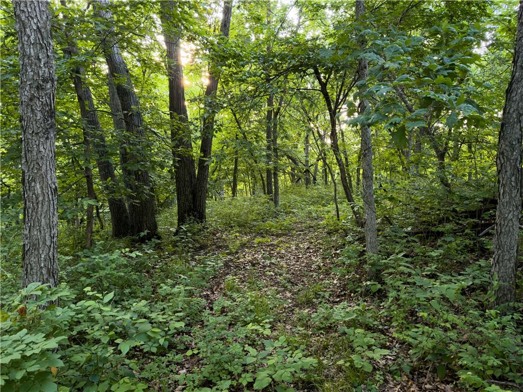 Tbd Rattlesnake Road Polo, MO 64671 - Photo 28 of 32