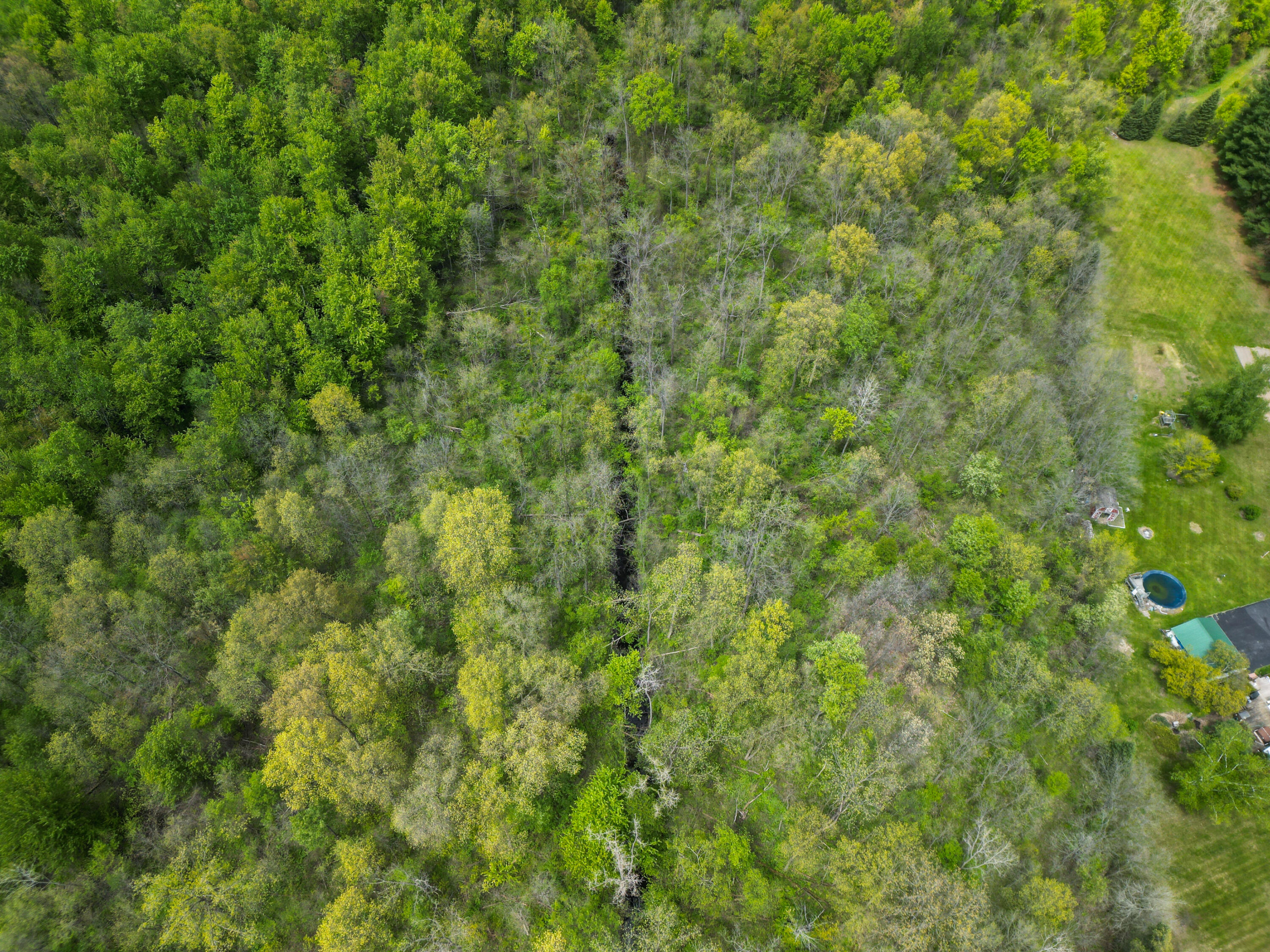 4 Bunkerhill Road Jackson, MI 49201 - Photo 9 of 13 Lot 4-2-2