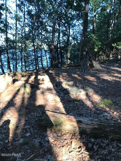Coutts Point Drive Paupack, PA 18451 - Photo 12 of 22