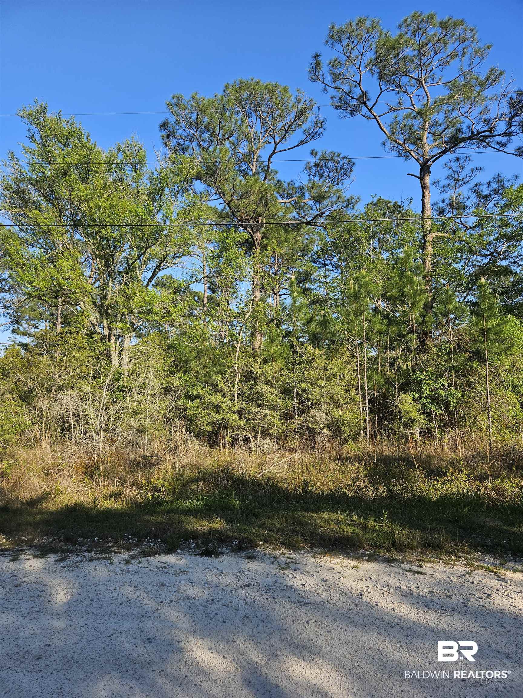 1 Mcgraw Boulevard Coden, AL 36523 - Photo 1 of 1 Gallery Image 1