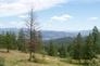 Tbd Jacknife Lookout Road Kettle Falls, WA 99141 - Photo 1 of 11 Gallery Image 1