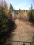 Tbd Jacknife Lookout Road Kettle Falls, WA 99141 - Photo 11 of 11 Gallery Image 11
