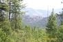 Tbd Jacknife Lookout Road Kettle Falls, WA 99141 - Photo 4 of 11 Gallery Image 4