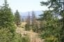 Tbd Jacknife Lookout Road Kettle Falls, WA 99141 - Photo 6 of 11 Gallery Image 6