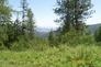 Tbd Jacknife Lookout Road Kettle Falls, WA 99141 - Photo 9 of 11 Gallery Image 9