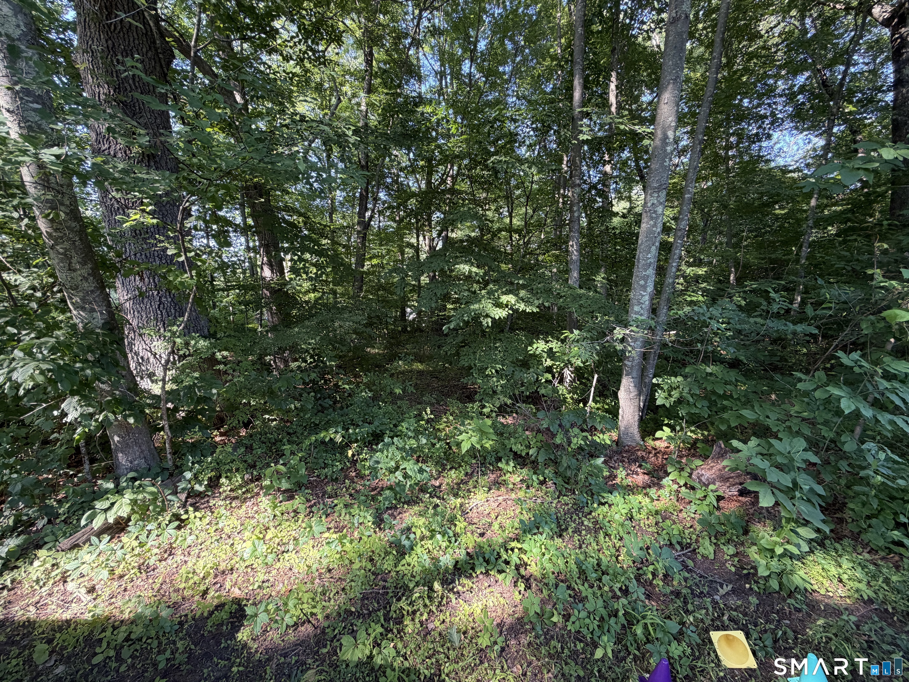 Lakeview Heights Lebanon, CT 06249 - Photo 4 of 4