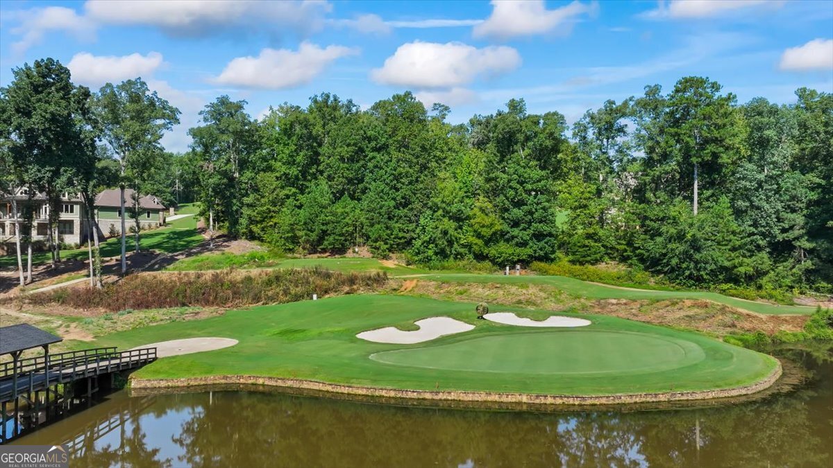 105 Birch Circle Forsyth, GA 31029 - Photo 3 of 12 a view of a lake with a yard