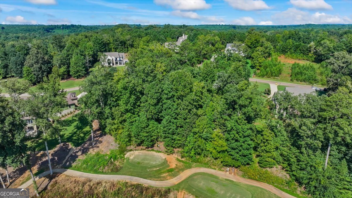 105 Birch Circle Forsyth, GA 31029 - Photo 4 of 12 a view of a back yard