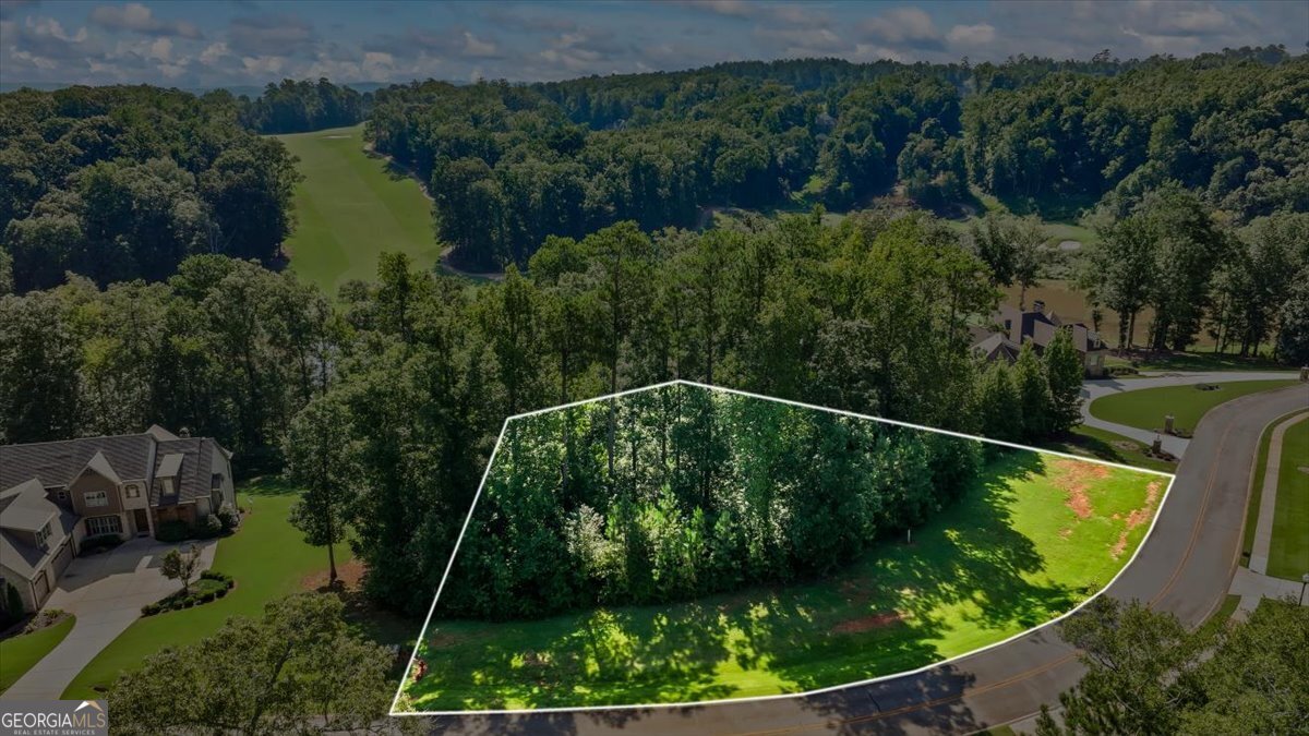 105 Birch Circle Forsyth, GA 31029 - Photo 5 of 12 an aerial view of a house a yard and green space