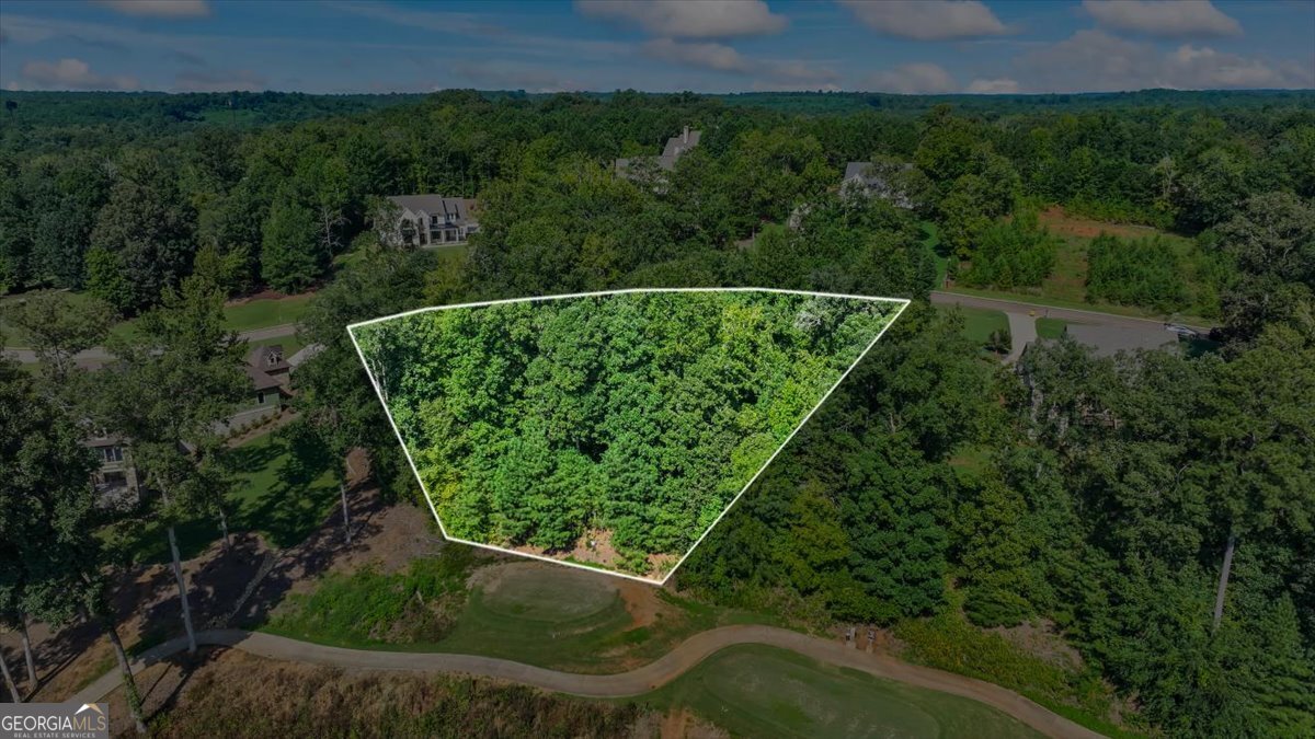 105 Birch Circle Forsyth, GA 31029 - Photo 7 of 12 a view of a backyard