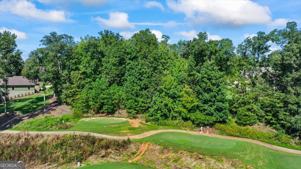 105 Birch Circle Forsyth, GA 31029 - Photo 10 of 12 a view of a garden with a building in the background