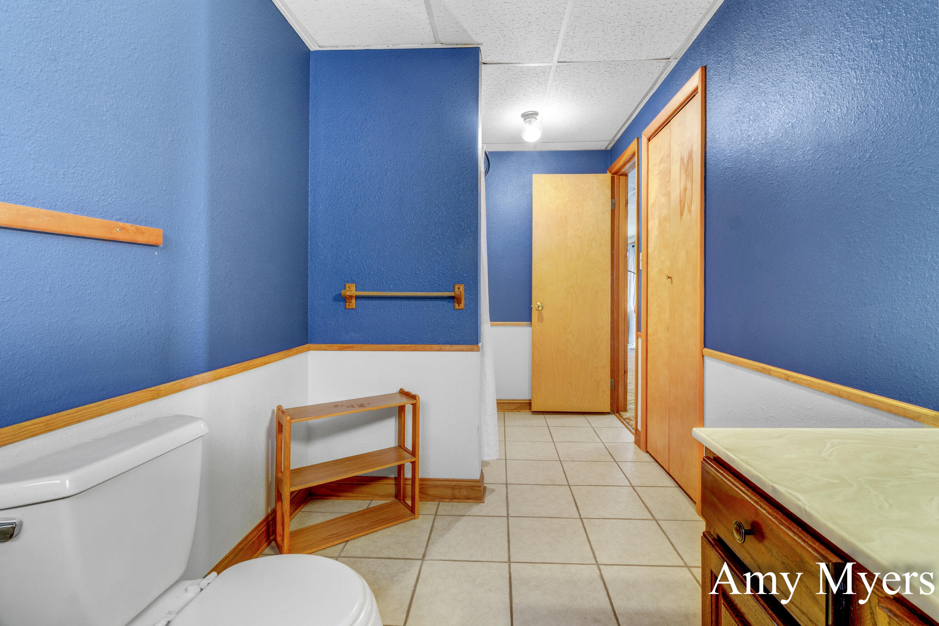 7367 South 108th Avenue Rothbury, MI 49452 - Photo 24 of 36 Amy Myers - 7367 S 108th Avenue (62)-39