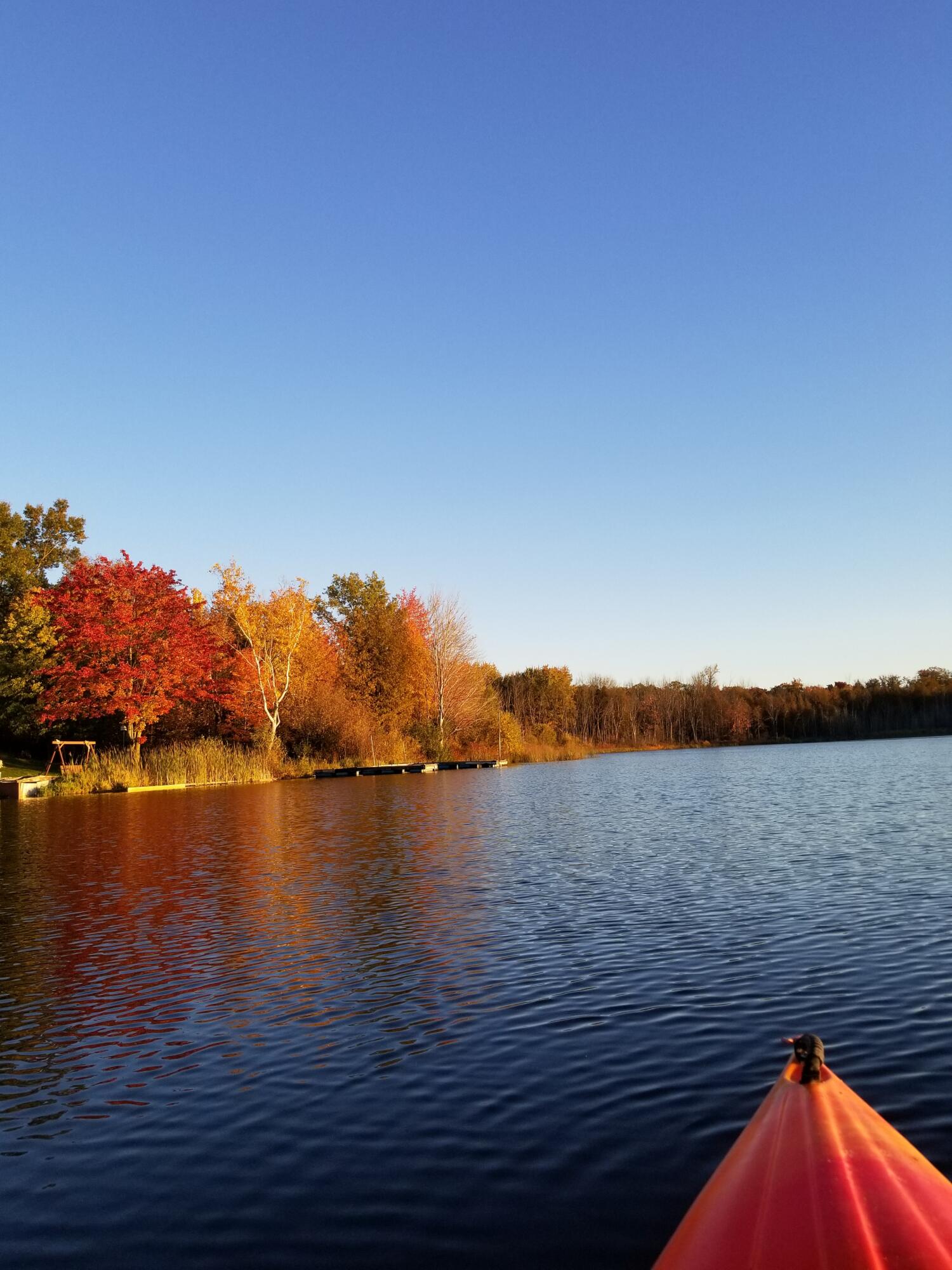 7367 South 108th Avenue Rothbury, MI 49452 - Photo 33 of 36 20201008_191257