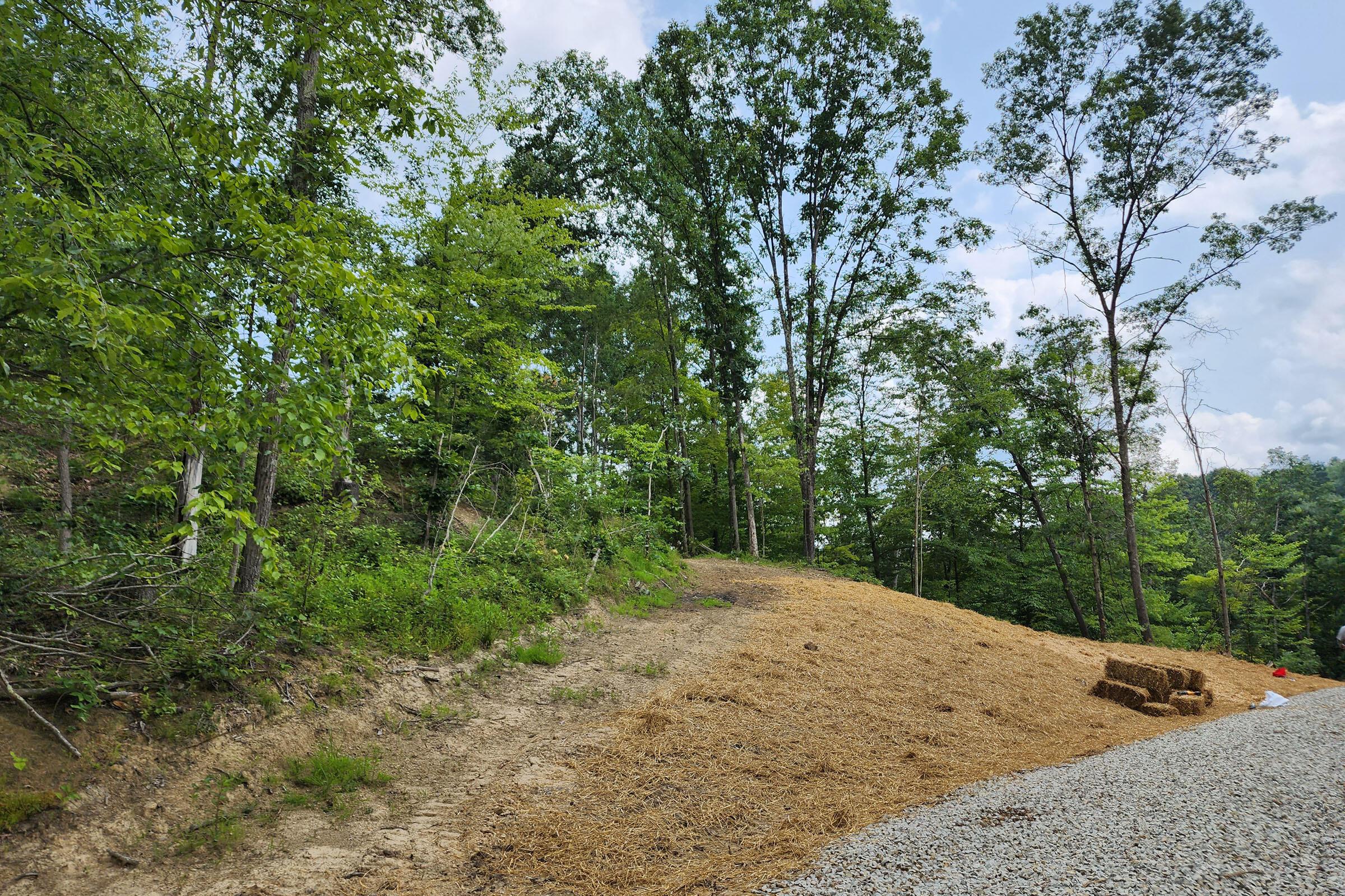 0 Back Run Road, Unit TRACT 3) Philo, OH 43771 - Photo 12 of 50 20230724_151529
