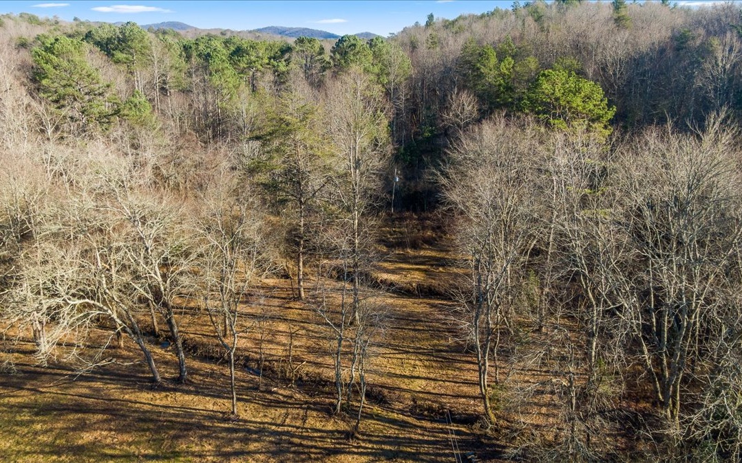 Fowler Road Ellijay, GA 30536 - Photo 18 of 20 Additional View