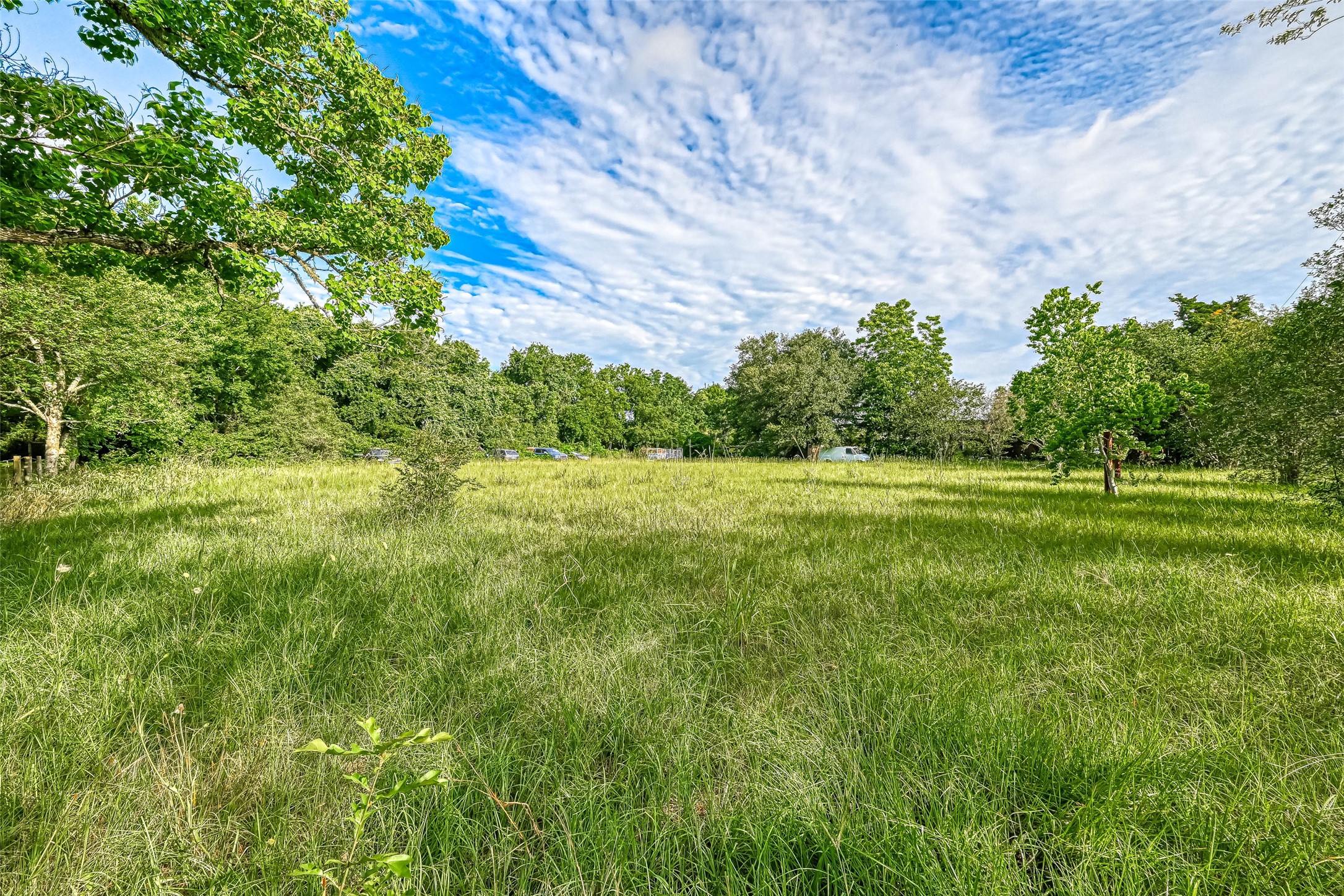 6303 Katy Hockley Cut Off Road Katy, TX 77493 - Photo 6 of 24