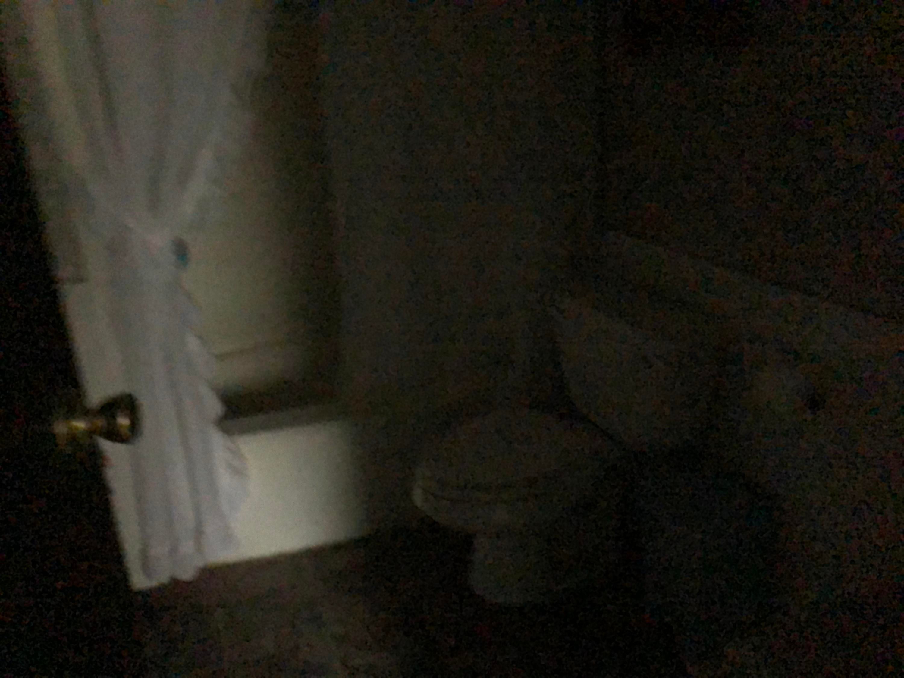 399 South Gerber Road Mio, MI 48647 - Photo 13 of 19 Gallery Image 13