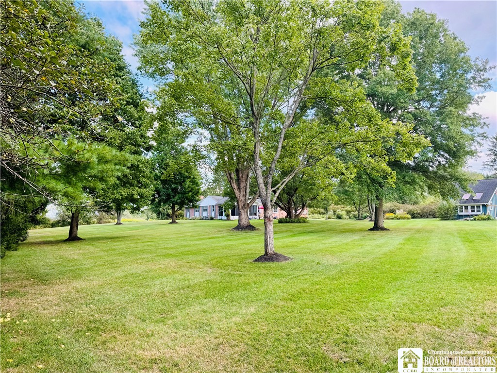 1609 Forest Avenue Busti, NY 14701 - Photo 29 of 30