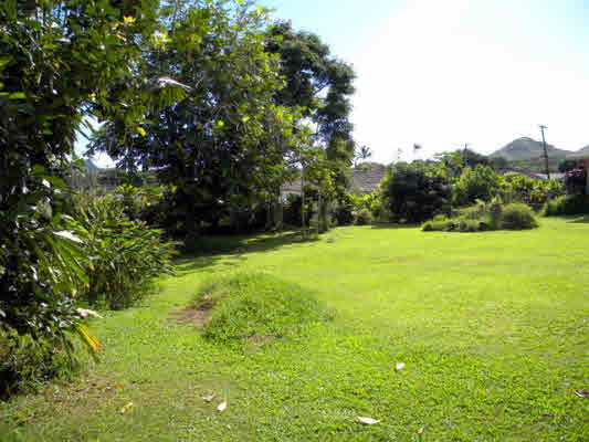 6664 Kuamoo Road Kapaa, HI 96746 - Photo 6 of 15 a view of yard with green space