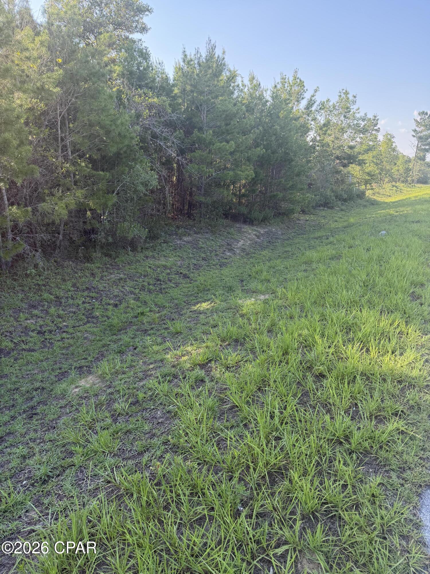 6629 Porter Grade Road Altha, FL 32421 - Photo 4 of 4