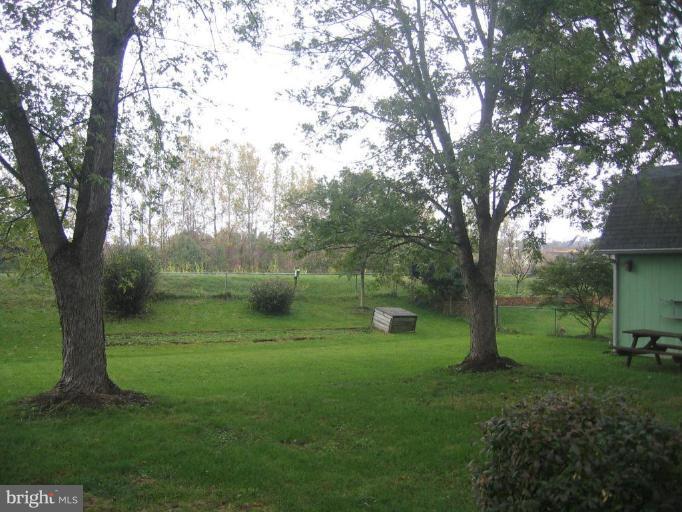 7560 Alleghany Road Manassas, VA 20111 - Photo 2 of 5 Back yard
