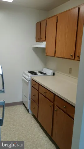 a kitchen with a sink a stove and cabinets