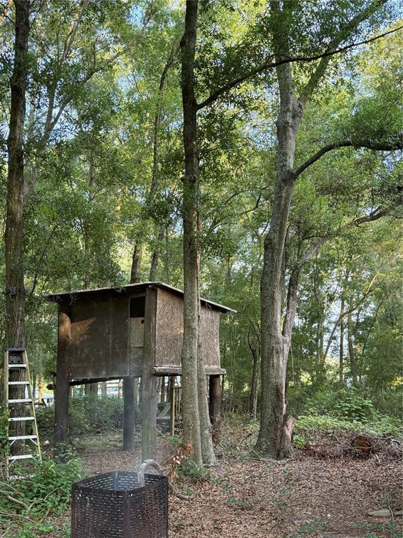 5109 Southwest 10th Street Bell, FL 32619 - Photo 19 of 38 a view of a wooden deck with large trees