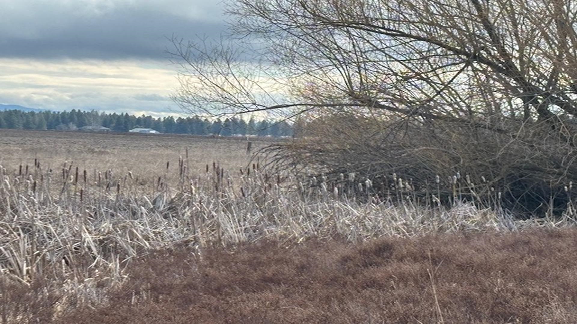 413-xx North Short Road Deer Park, WA 99006 - Photo 25 of 36