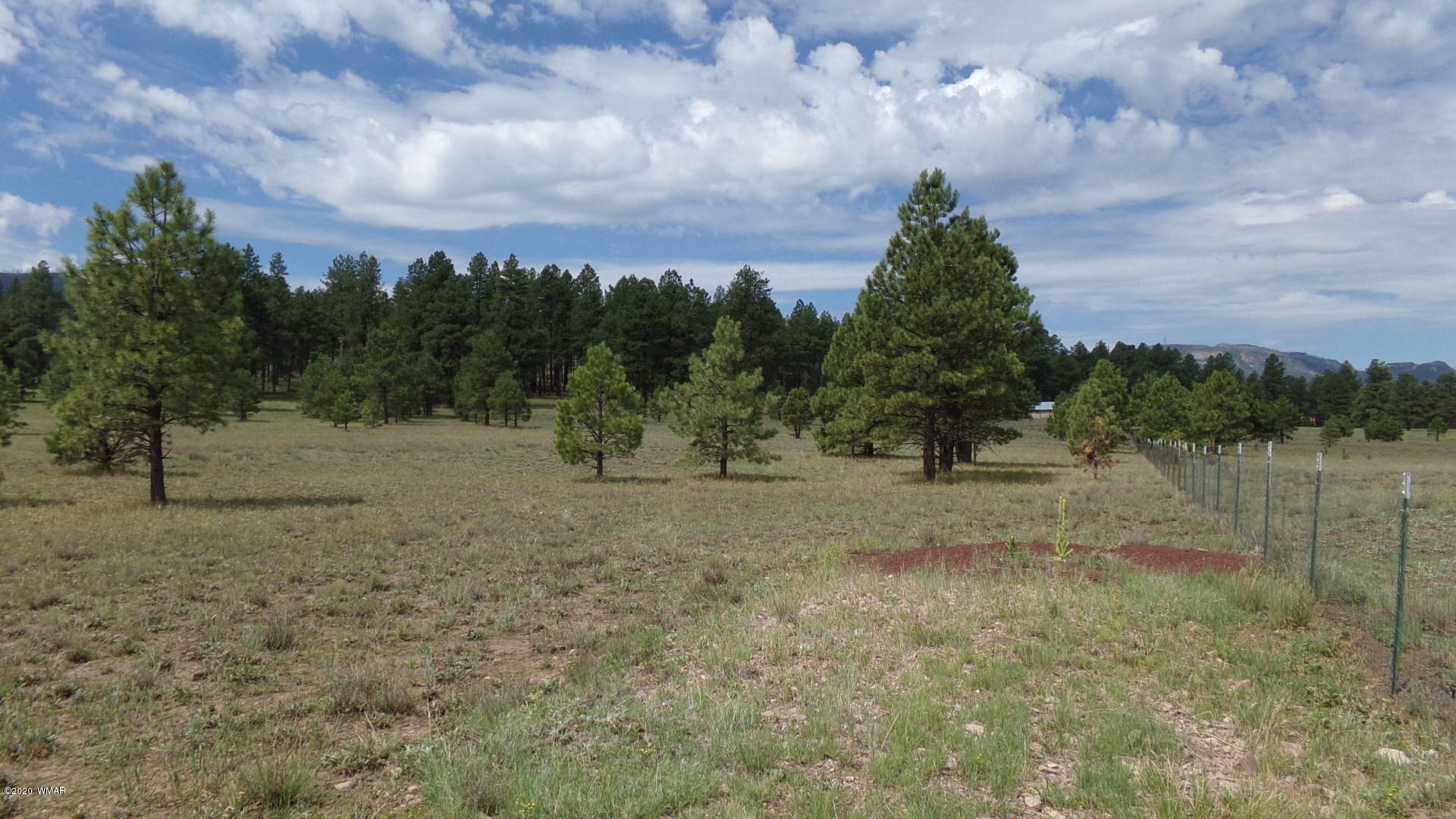 0 County Road Alpine, AZ 85920 - Photo 2 of 5