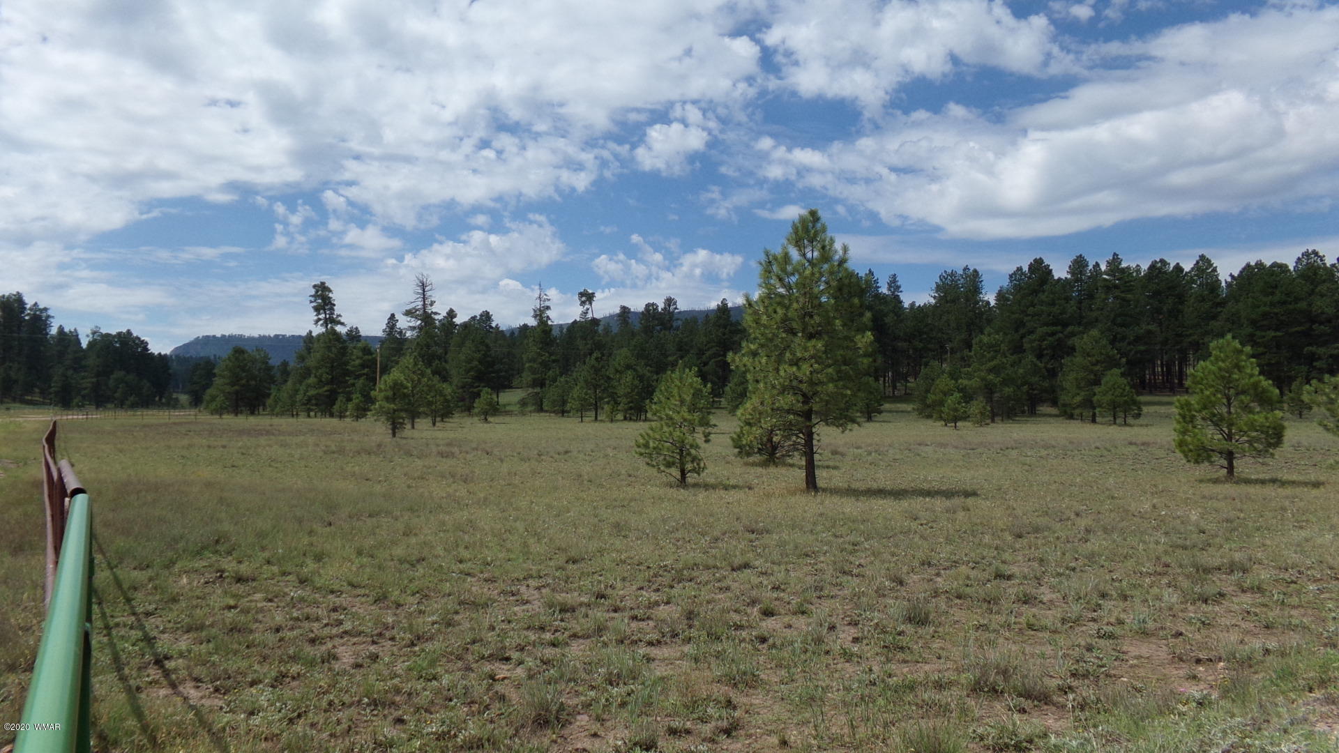 0 County Road Alpine, AZ 85920 - Photo 3 of 5