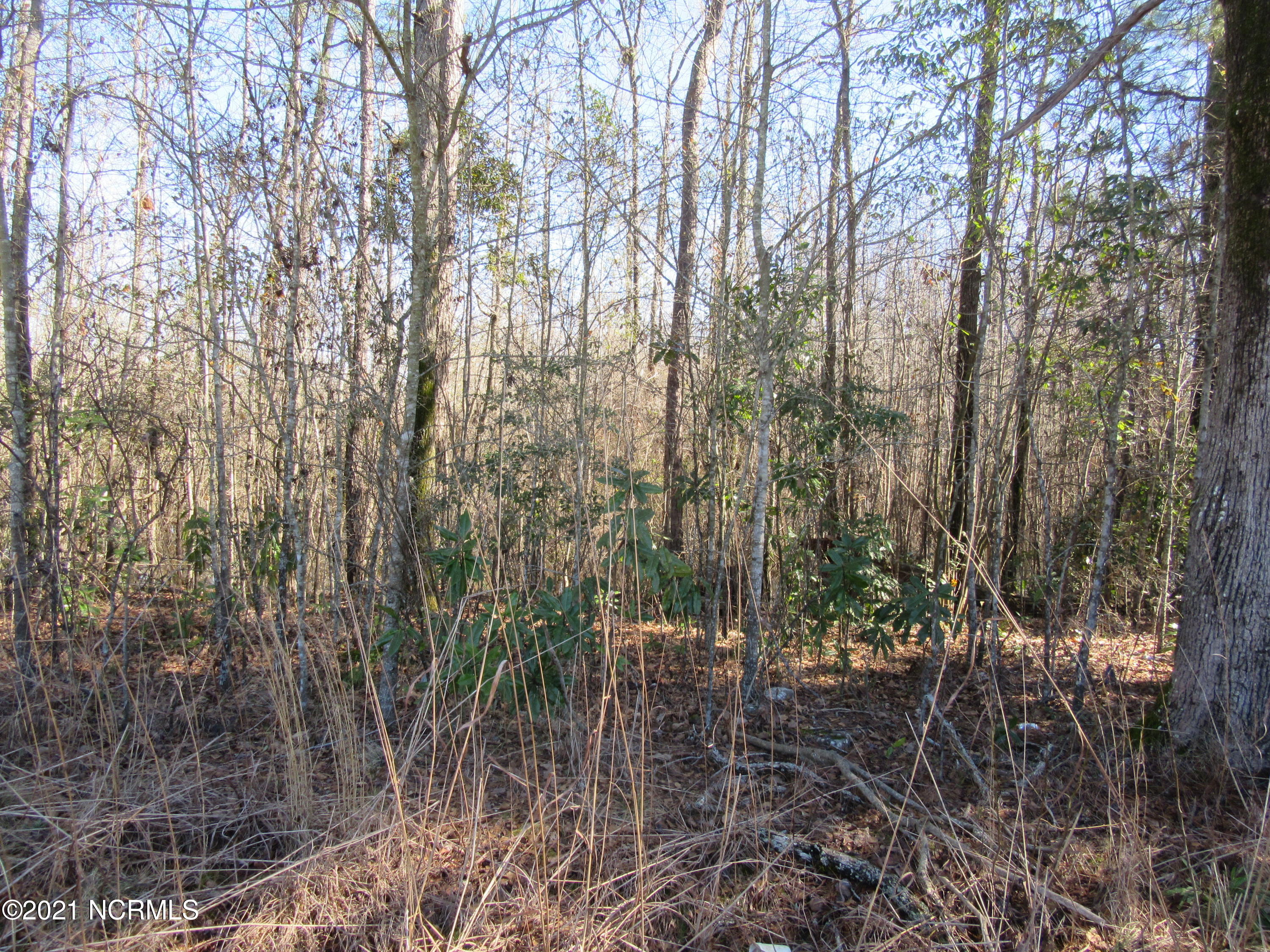 0 Broadridge Road Lumberton, NC 28358 - Photo 1 of 2 IMG_4851