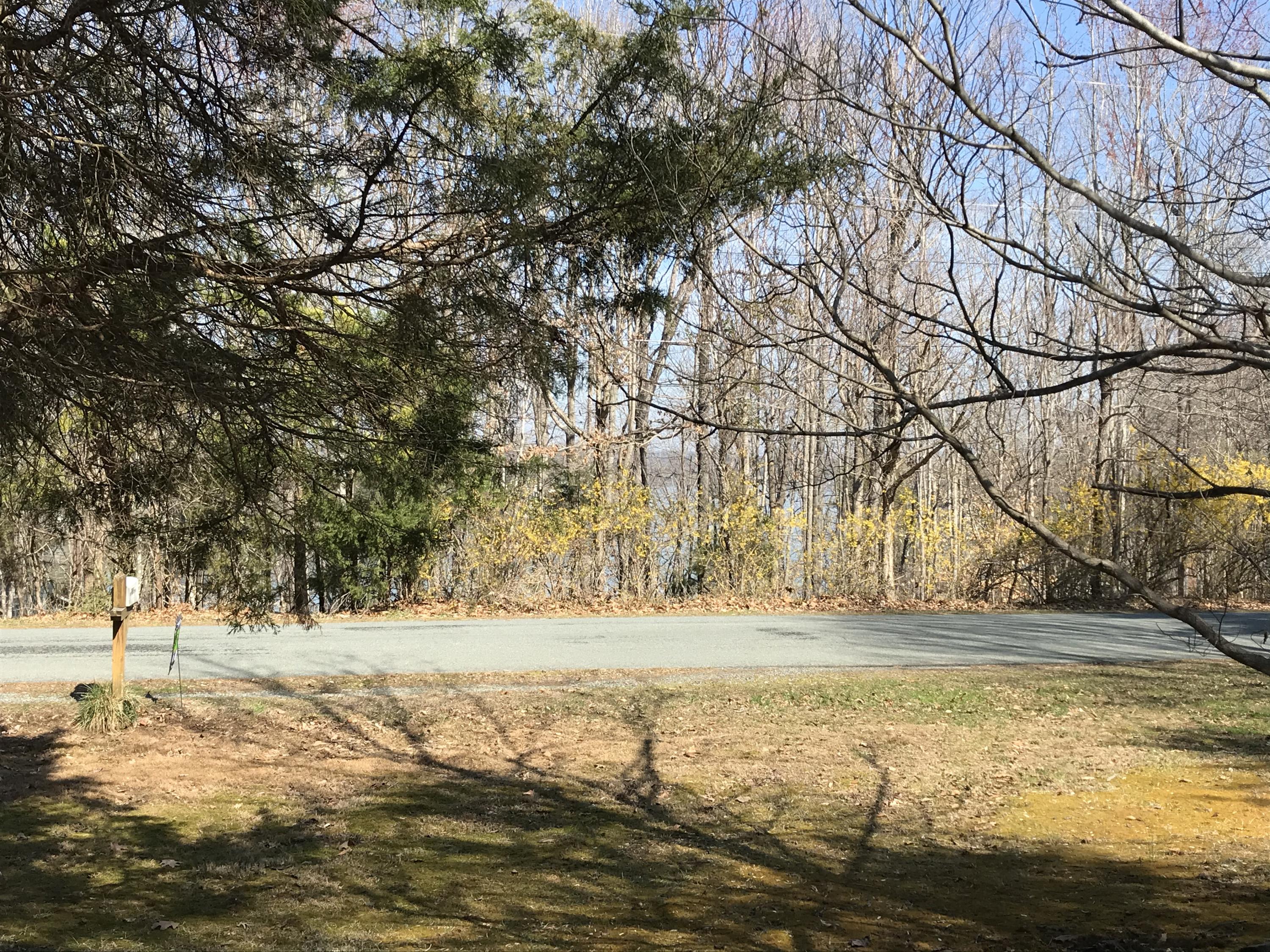 214 Highland Lake Road Union Hall, VA 24176 - Photo 16 of 33 a view of a yard with large trees