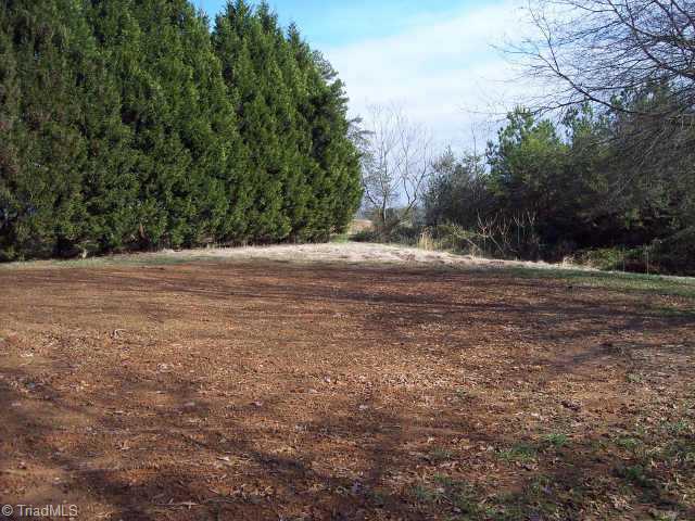 0 Hamlin Road Dobson, NC 27017 - Photo 1 of 5 Exterior Front. Building site.